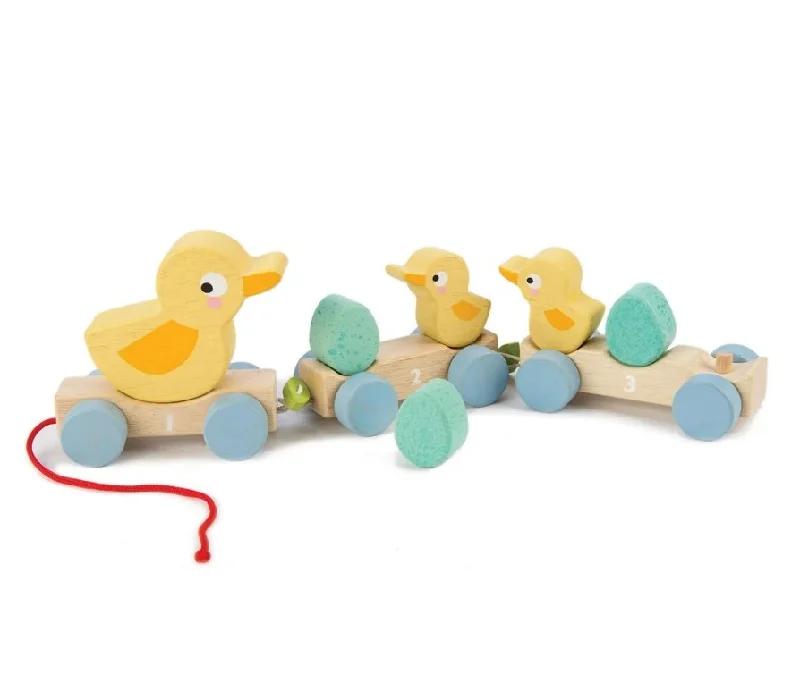 Tender Leaf Toys Pull Along Ducks