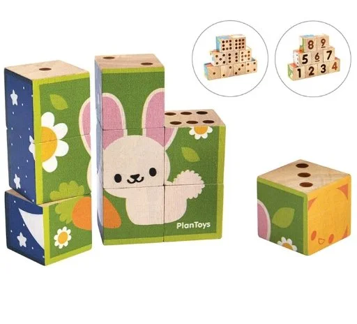 PlanToys Puzzle Cube