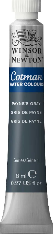 Payne's Gray