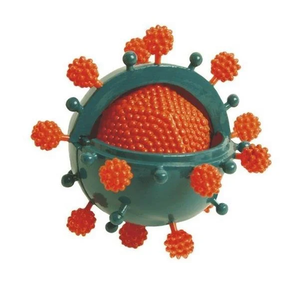 Bio Signs Virus Model