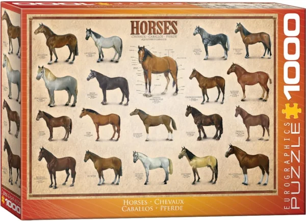 Horses 1000pc - EuroGraphics Puzzle