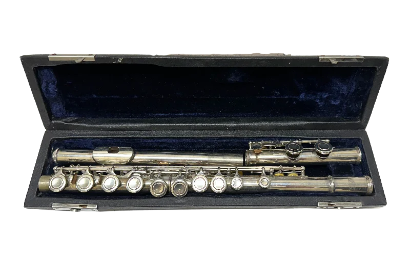 Vinci Flute with Case